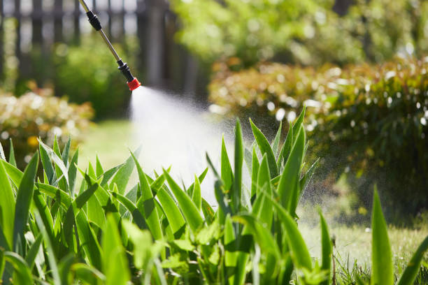 Tamper-Resistant Bait Stations for Rodents in Nesconset