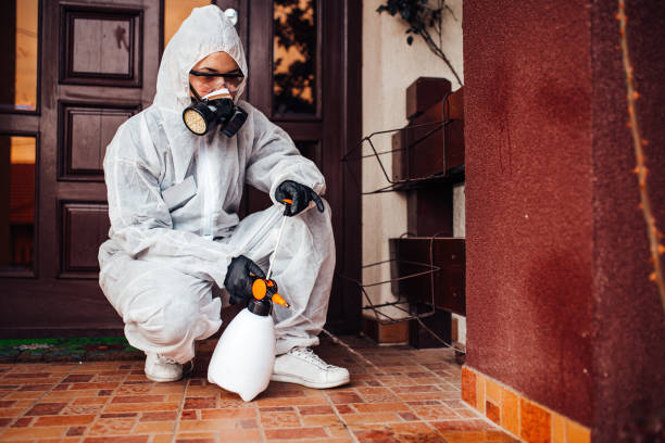 Attic and Crawl Space Rodent Treatment in Nesconset