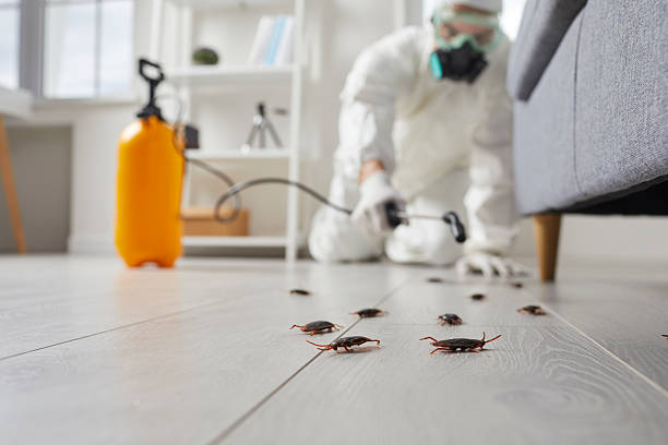 Commercial Rodent Management in Nesconset